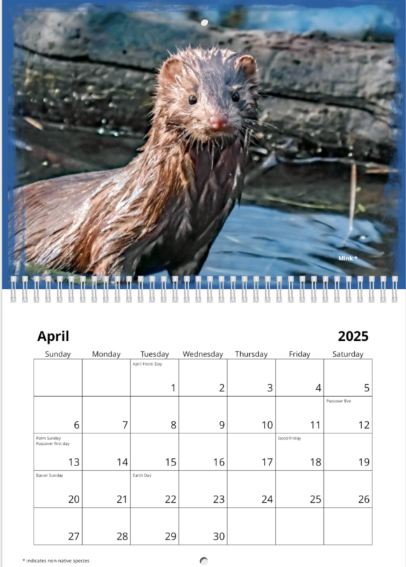 Oaks Bottom 2025 Calendar - Image 5