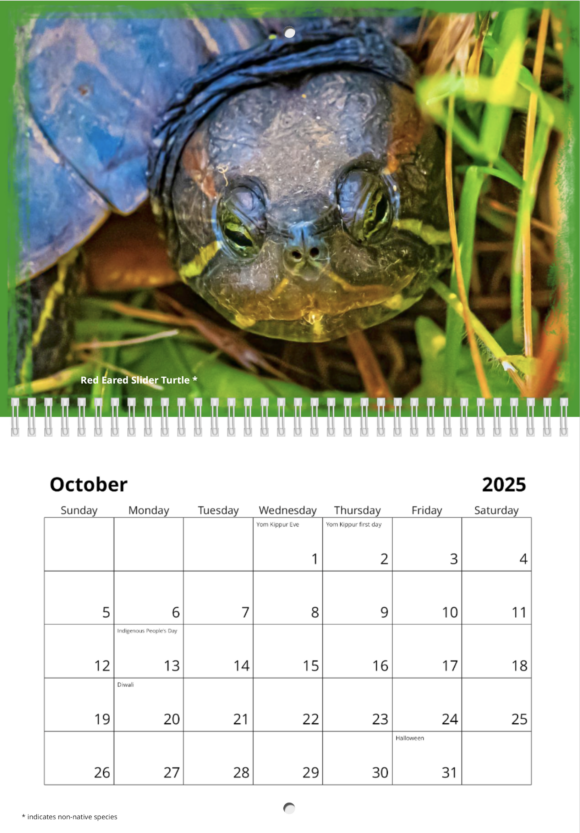 Oaks Bottom 2025 Calendar - Image 11